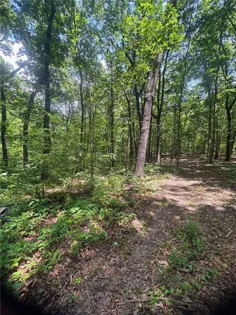 a view of outdoor space with trees