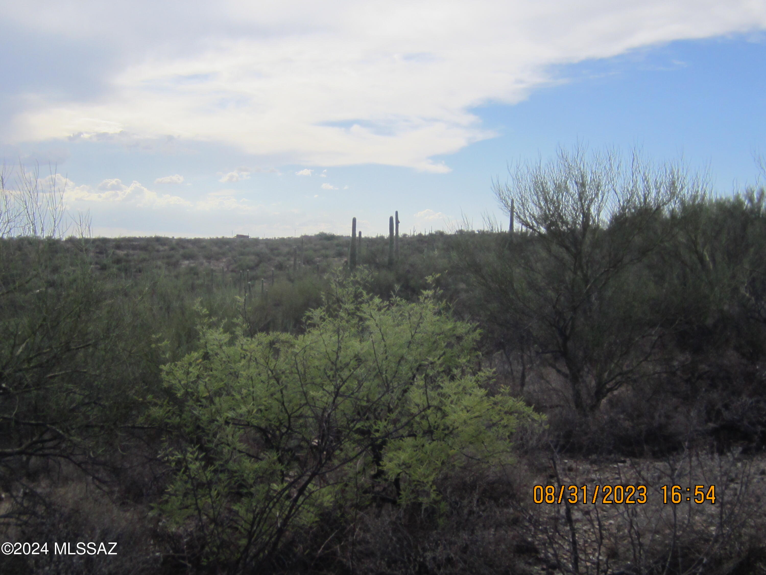 0 East Rincon Creek Ranch Road Tucson, AZ 85747 - Photo 45 of 46 Gallery Image 45