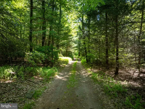 $679,000 | 385 Elk Creek Road, Aaronsburg, PA 16820