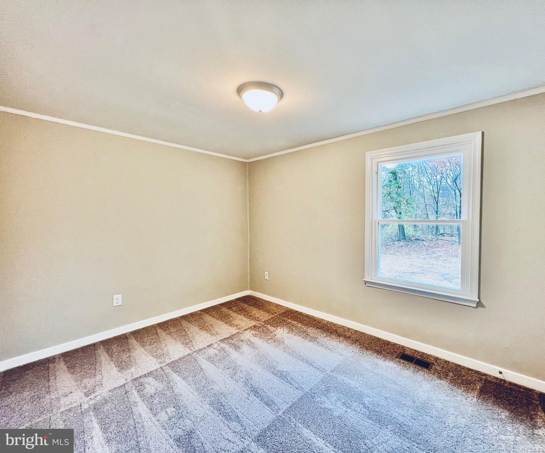 7432 Stubbs Bridge Road Spotsylvania, VA 22551 - Photo 17 of 22 Gallery Image 17