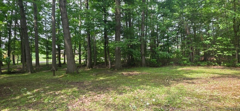 8905 County Road Clarence, NY 14032 - Photo 13 of 46