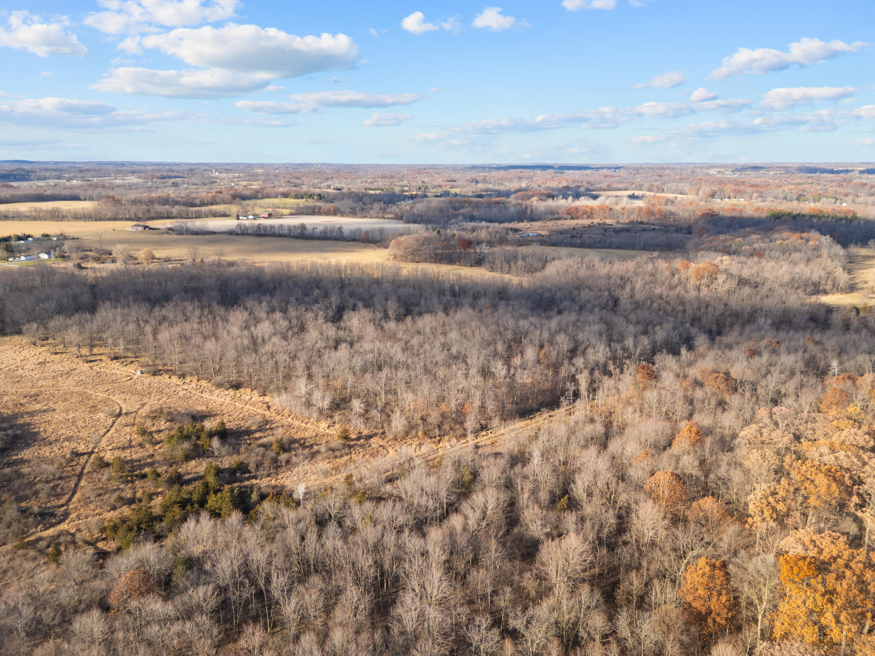 7341 Skuse Road Osseo, MI 49266 - Photo 12 of 18 17_dji_0636