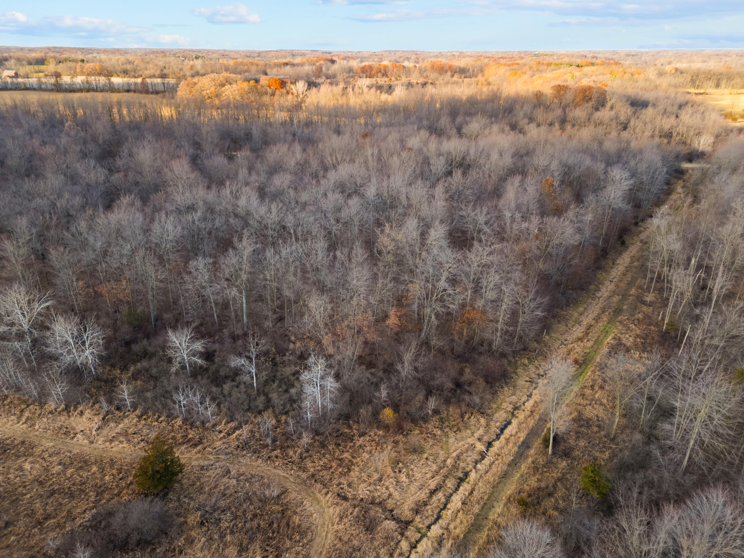 7341 Skuse Road Osseo, MI 49266 - Photo 13 of 18 19_dji_0651