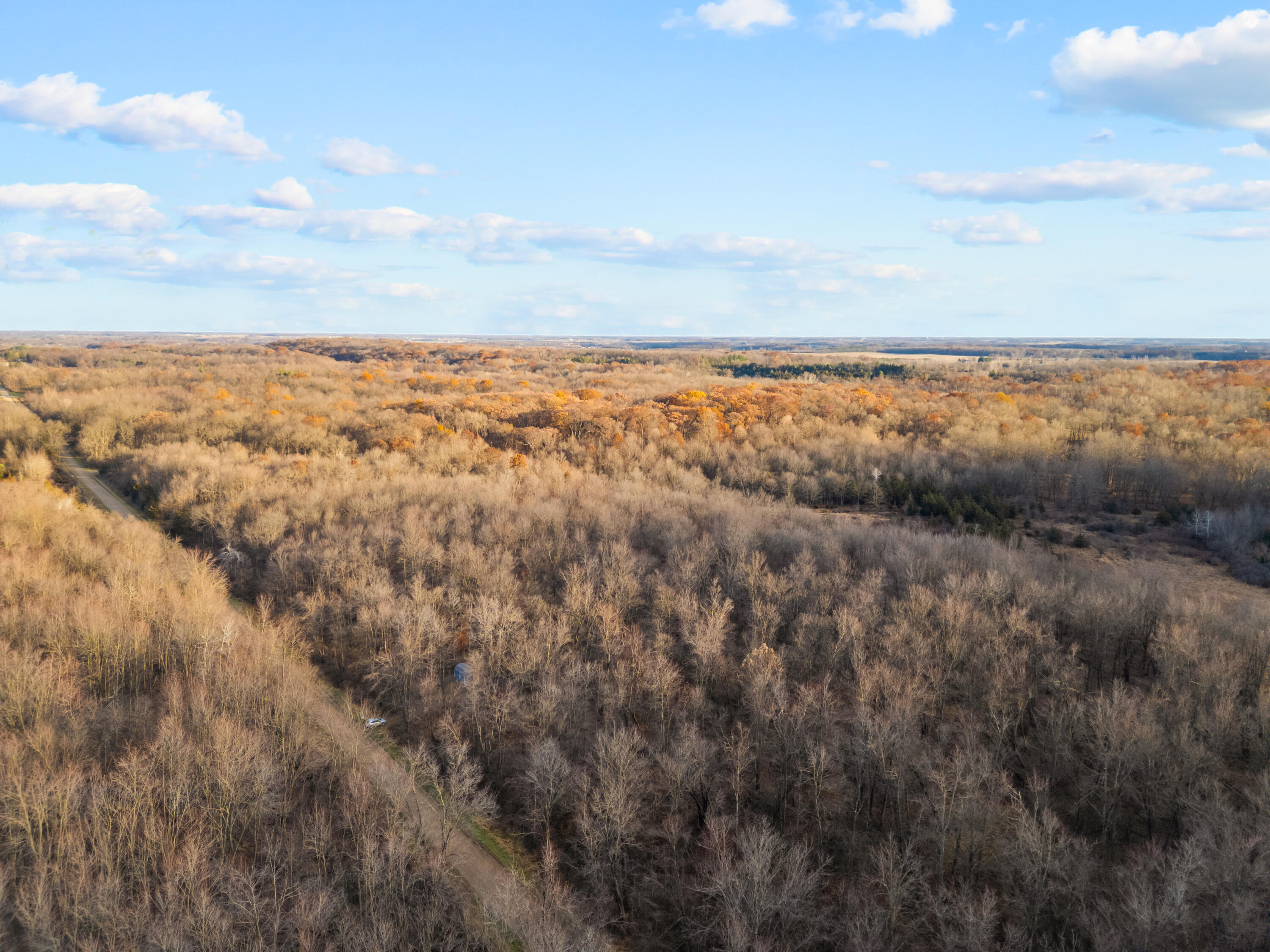 7341 Skuse Road Osseo, MI 49266 - Photo 14 of 18 18_dji_0648