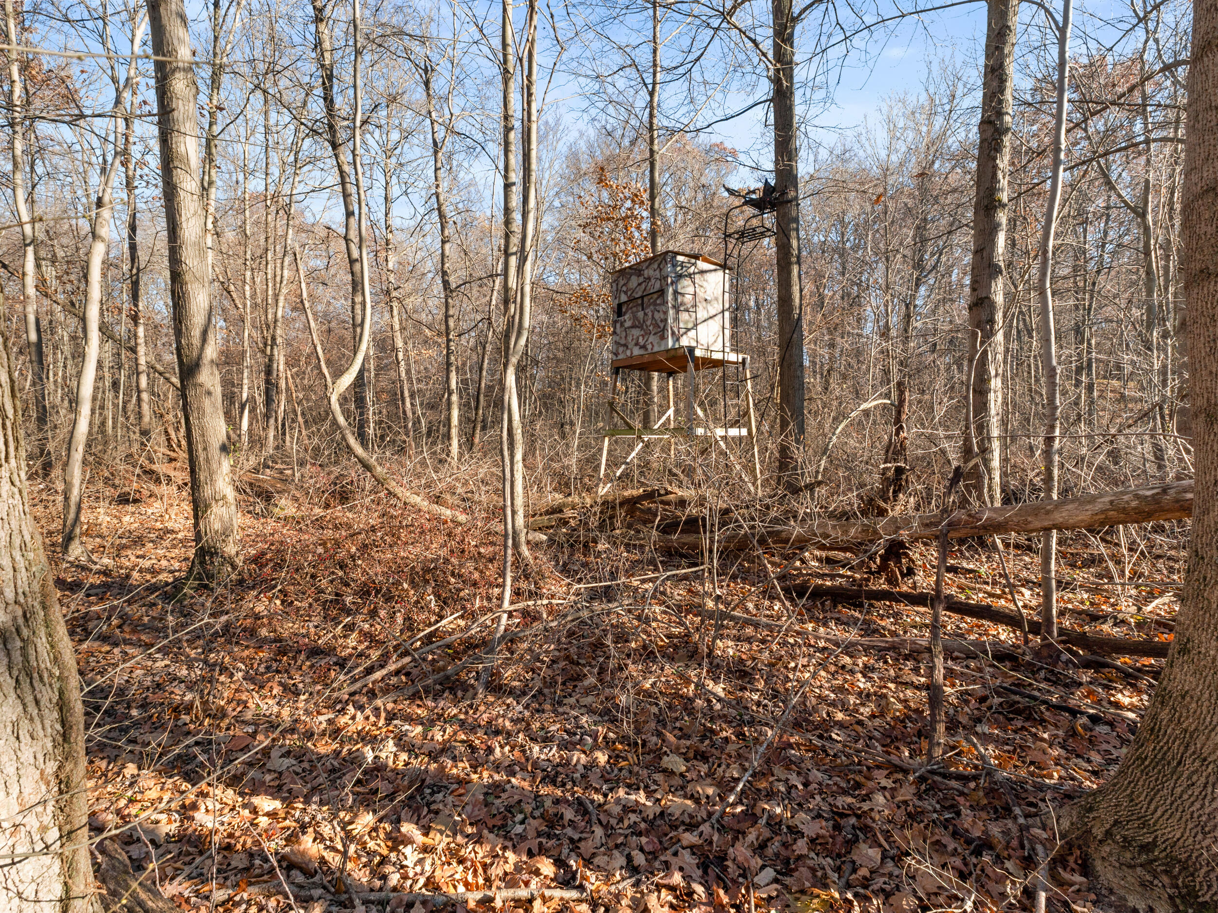 7341 Skuse Road Osseo, MI 49266 - Photo 15 of 18 21__dsc2788