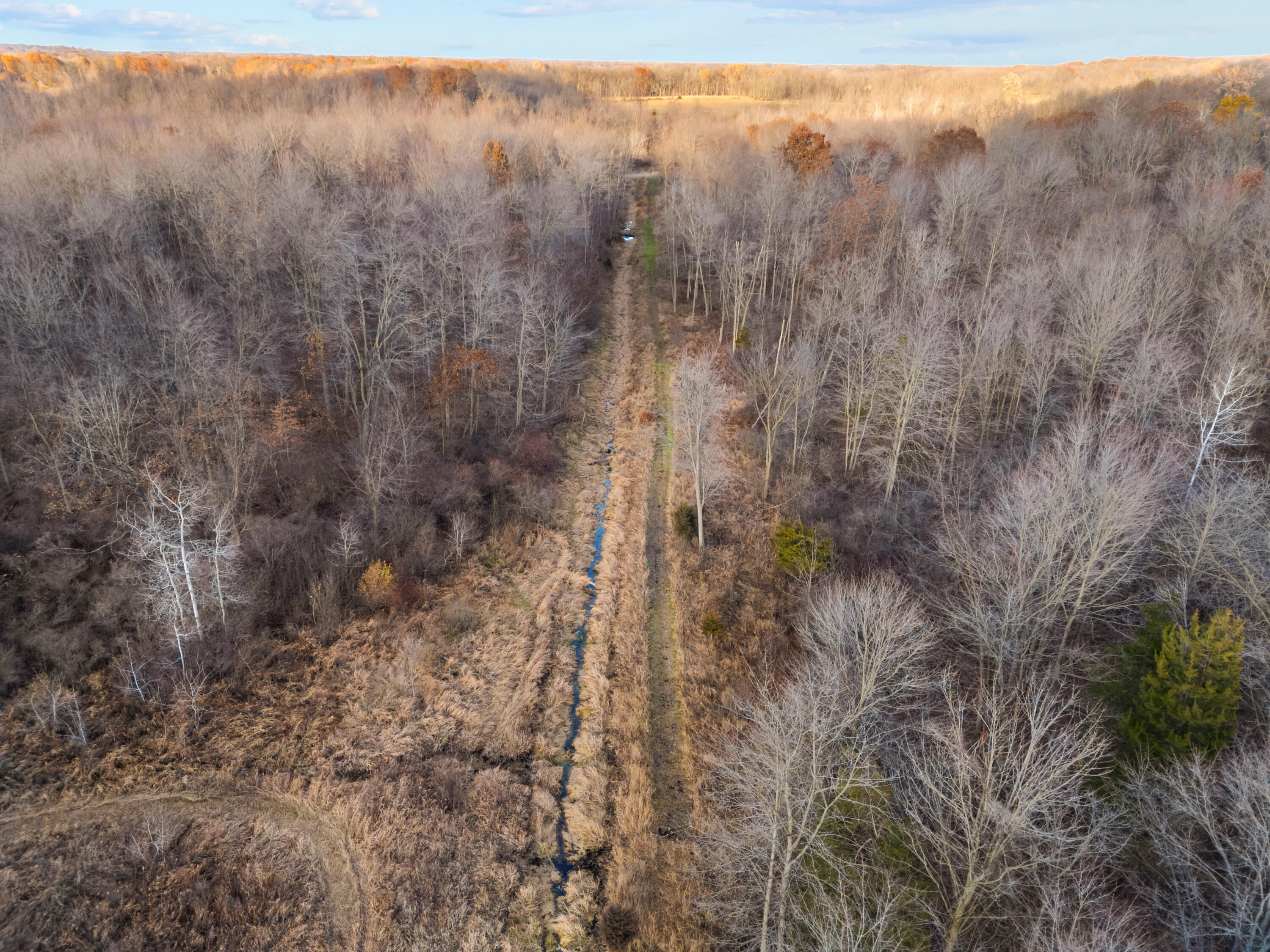 7341 Skuse Road Osseo, MI 49266 - Photo 16 of 18 20_dji_0654