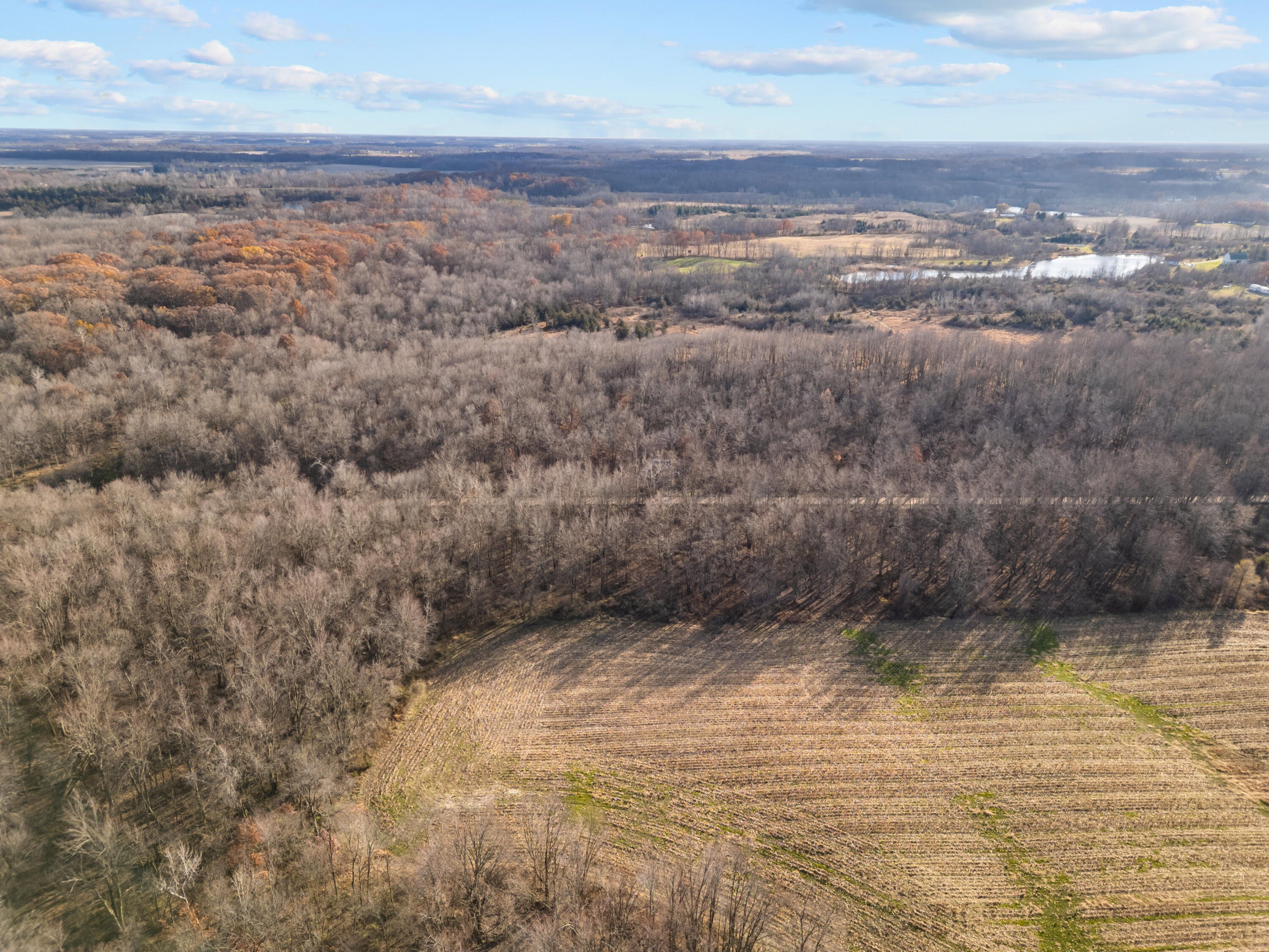 7341 Skuse Road Osseo, MI 49266 - Photo 10 of 18 16_dji_0633