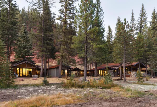 a view of a town with large trees