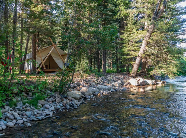 a view of backyard with green space