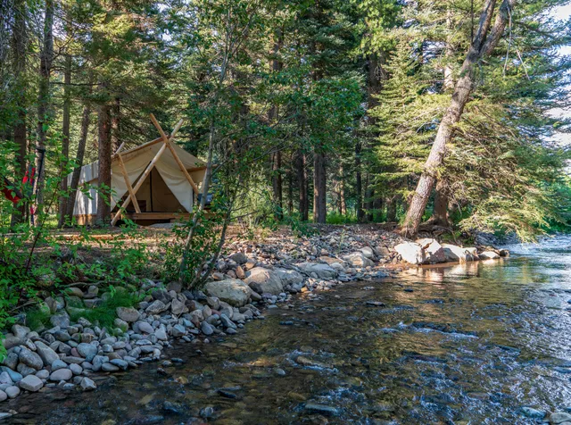 a view of backyard with green space