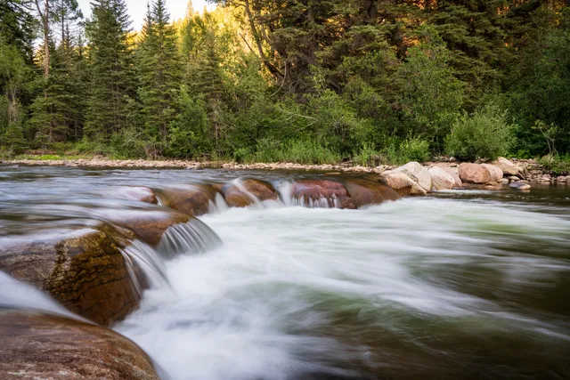 a view of swimming pool with a yard