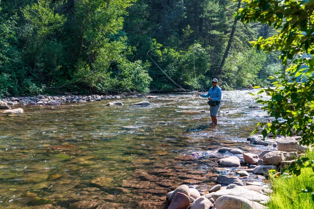 a view of a tree with a yard