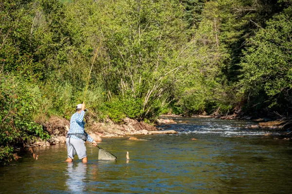 a view of water pond with lots of trees