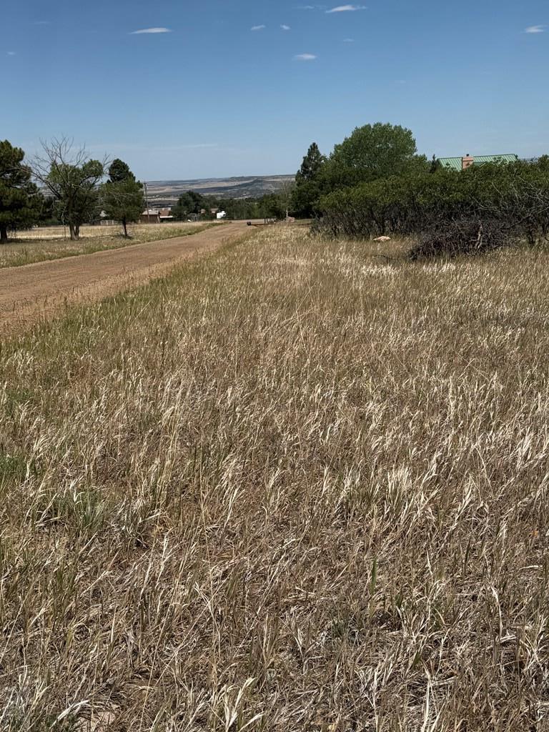 Tbd Pine Drive Rye, CO 81069 - Photo 6 of 6