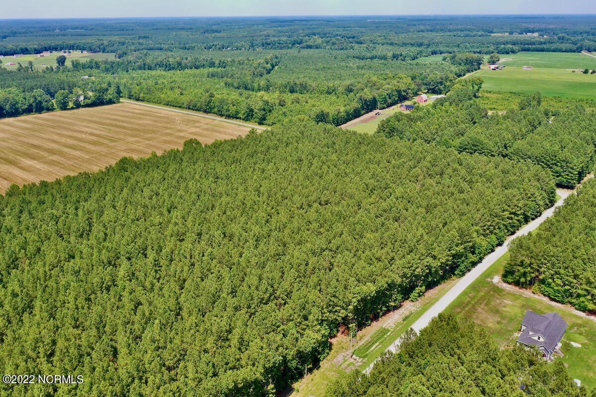 0 Paige Riddick Road Gates, NC 27937 - Photo 12 of 37 DJI_0602