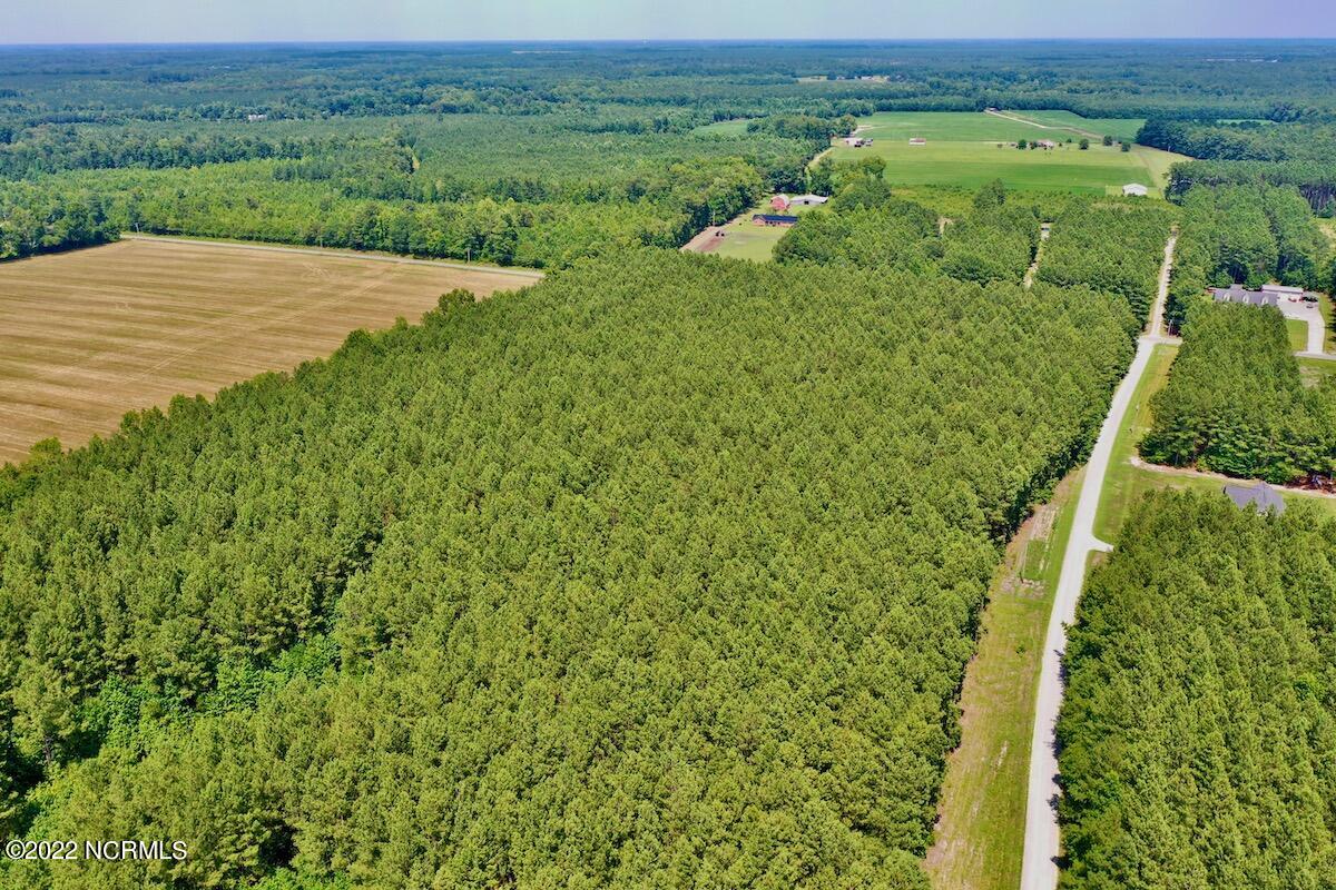 0 Paige Riddick Road Gates, NC 27937 - Photo 13 of 37 DJI_0603