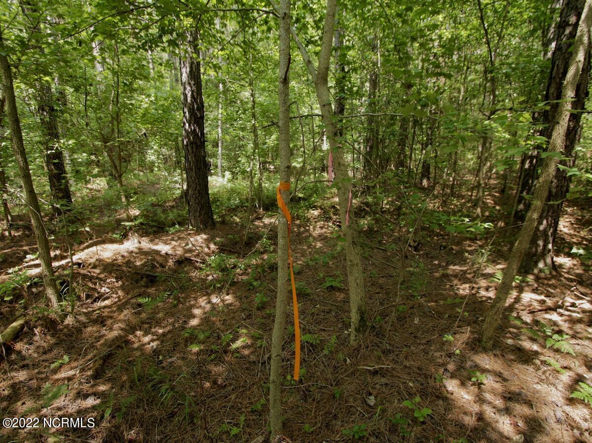 0 Paige Riddick Road Gates, NC 27937 - Photo 20 of 37 IMG_1923