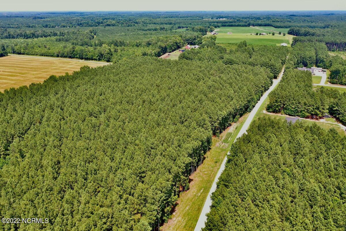 0 Paige Riddick Road Gates, NC 27937 - Photo 2 of 37 DJI_0591