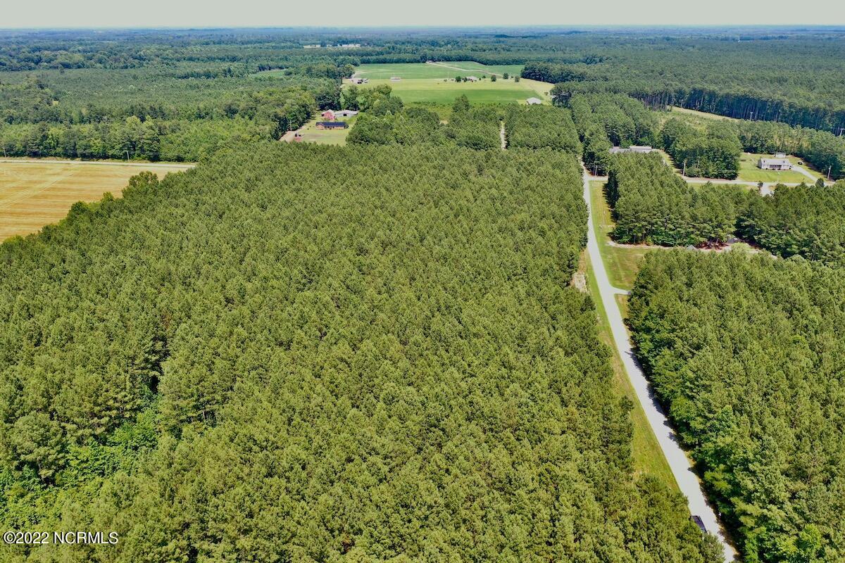 0 Paige Riddick Road Gates, NC 27937 - Photo 3 of 37 DJI_0592