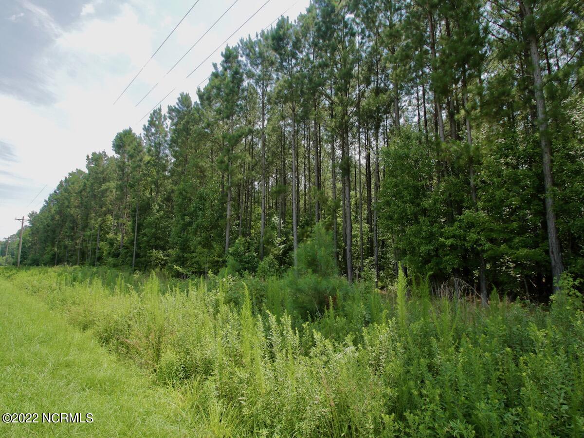 0 Paige Riddick Road Gates, NC 27937 - Photo 34 of 37 IMG_1938