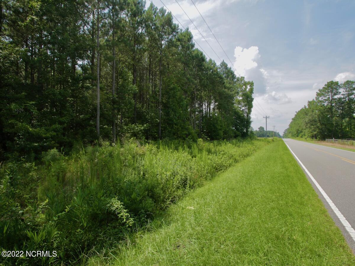 0 Paige Riddick Road Gates, NC 27937 - Photo 35 of 37 IMG_1940