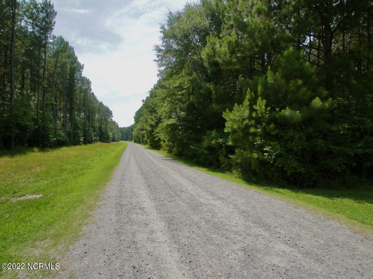 0 Paige Riddick Road Gates, NC 27937 - Photo 36 of 37 IMG_1942