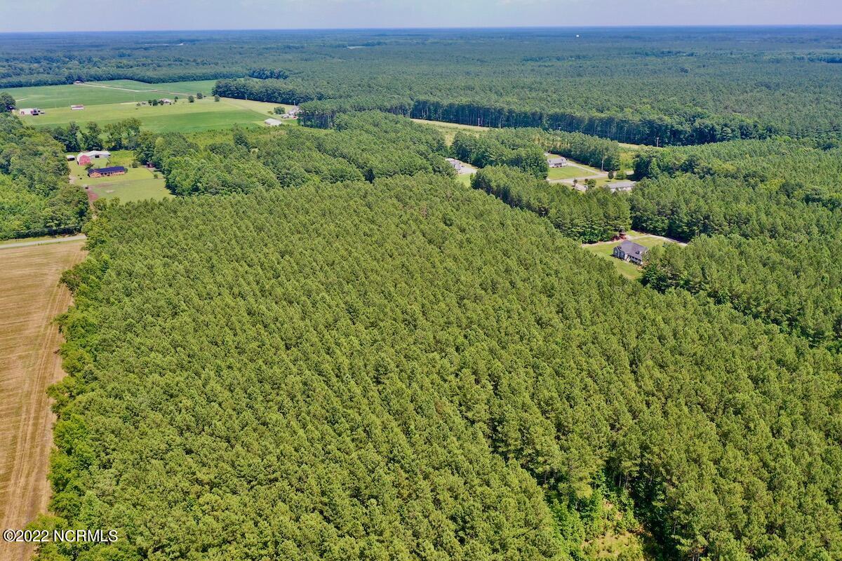 0 Paige Riddick Road Gates, NC 27937 - Photo 4 of 37 DJI_0593