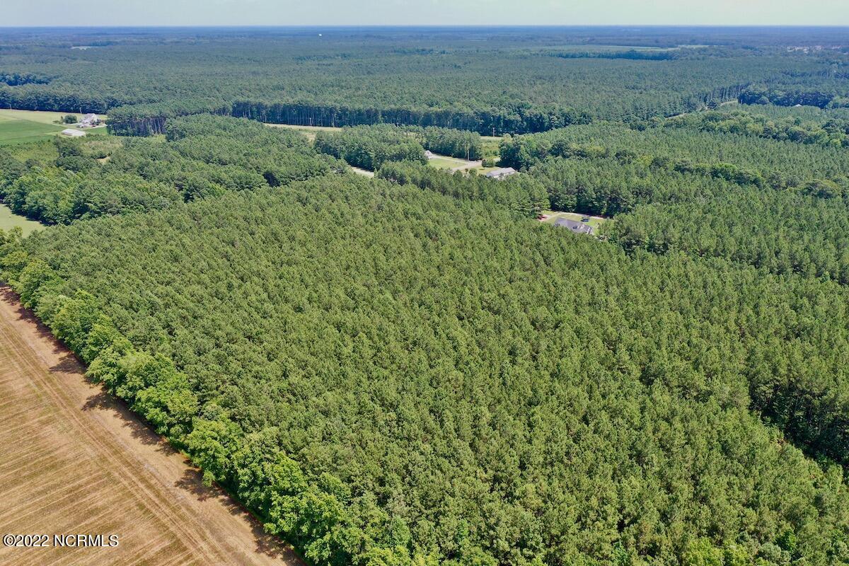 0 Paige Riddick Road Gates, NC 27937 - Photo 5 of 37 DJI_0594