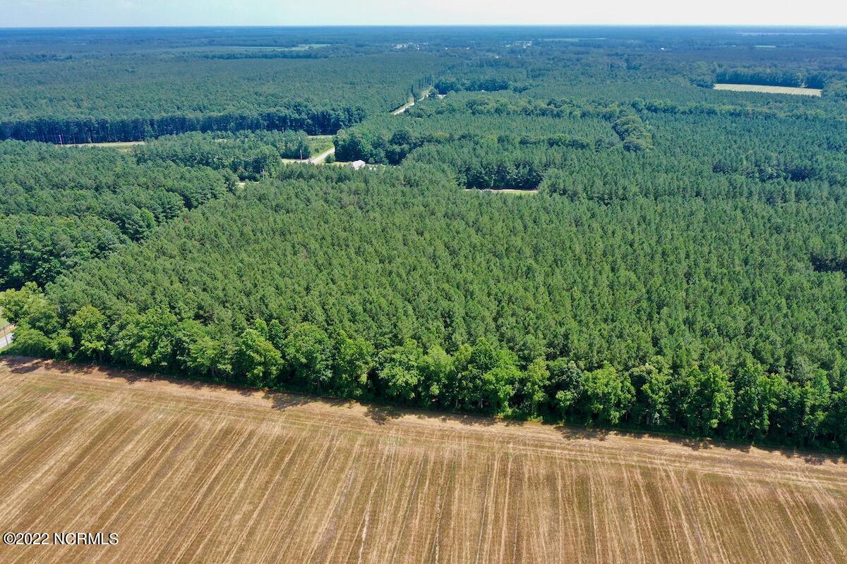0 Paige Riddick Road Gates, NC 27937 - Photo 6 of 37 DJI_0595
