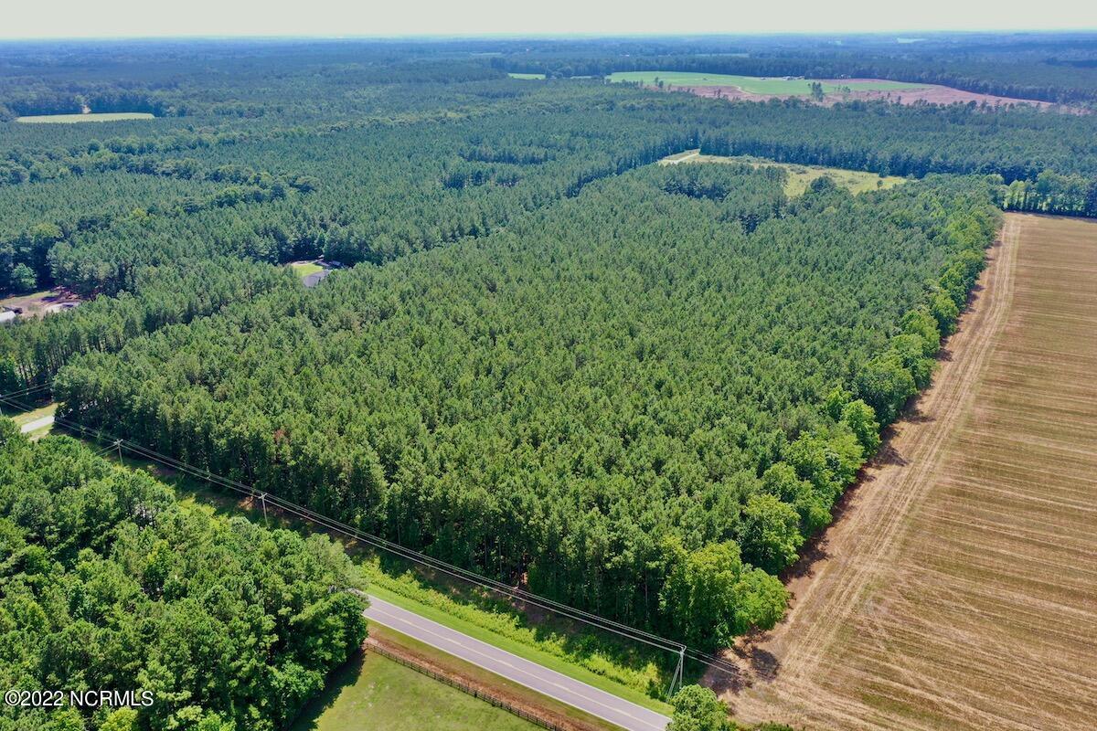 0 Paige Riddick Road Gates, NC 27937 - Photo 7 of 37 DJI_0597