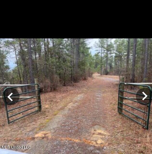 4165 County Road Sallis, MS 39160 - Photo 1 of 12 1