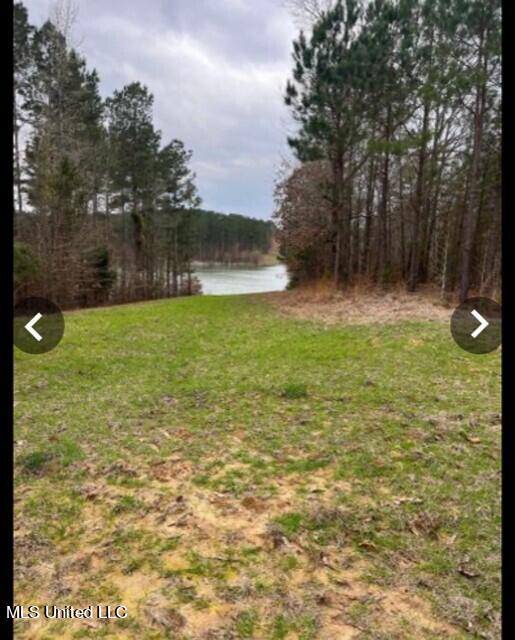 4165 County Road Sallis, MS 39160 - Photo 3 of 12 3
