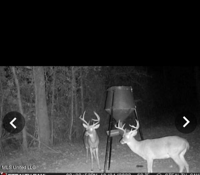 4165 County Road Sallis, MS 39160 - Photo 9 of 12 9