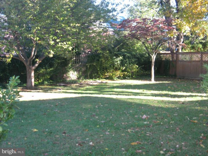 22 Fairfield Road Havertown, PA 19083 - Photo 5 of 12 Back Yard
