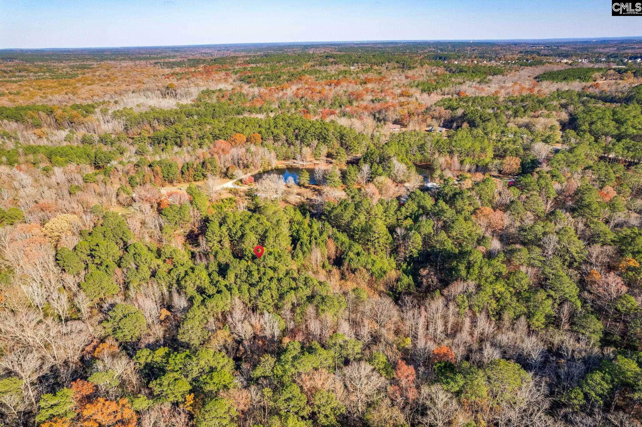 1089 Chestnut Hill Road Elgin, SC 29045 - Photo 6 of 17