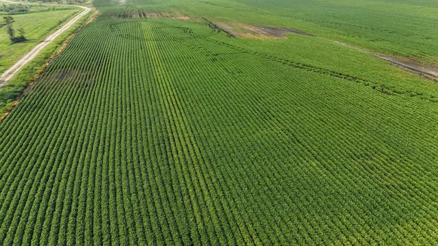 $1,724,775 | 61 St Browerville Mn 56438, Browerville, MN 56438