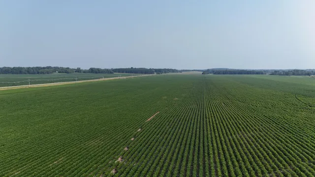 $1,724,775 | 61 St Browerville Mn 56438, Browerville, MN 56438