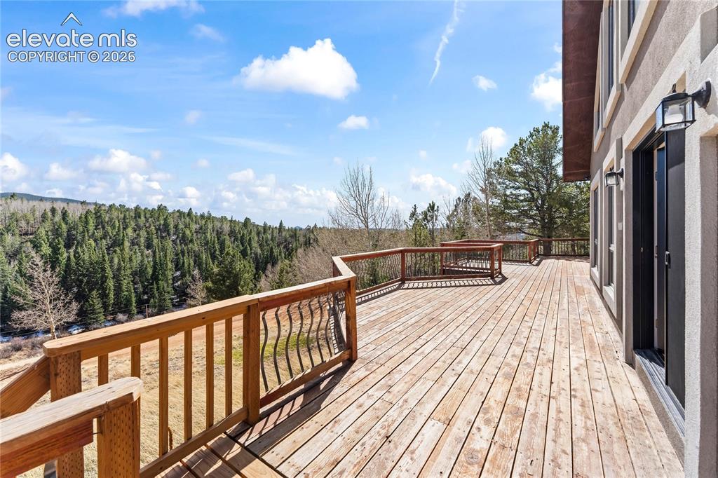 1008 Cantiberry Road Divide, CO 80814 - Photo 28 of 37