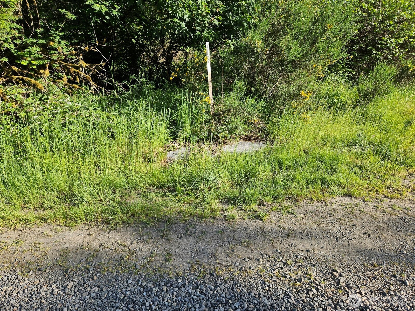 5033 Polehn Road Southwest Rochester, WA 98579 - Photo 15 of 15