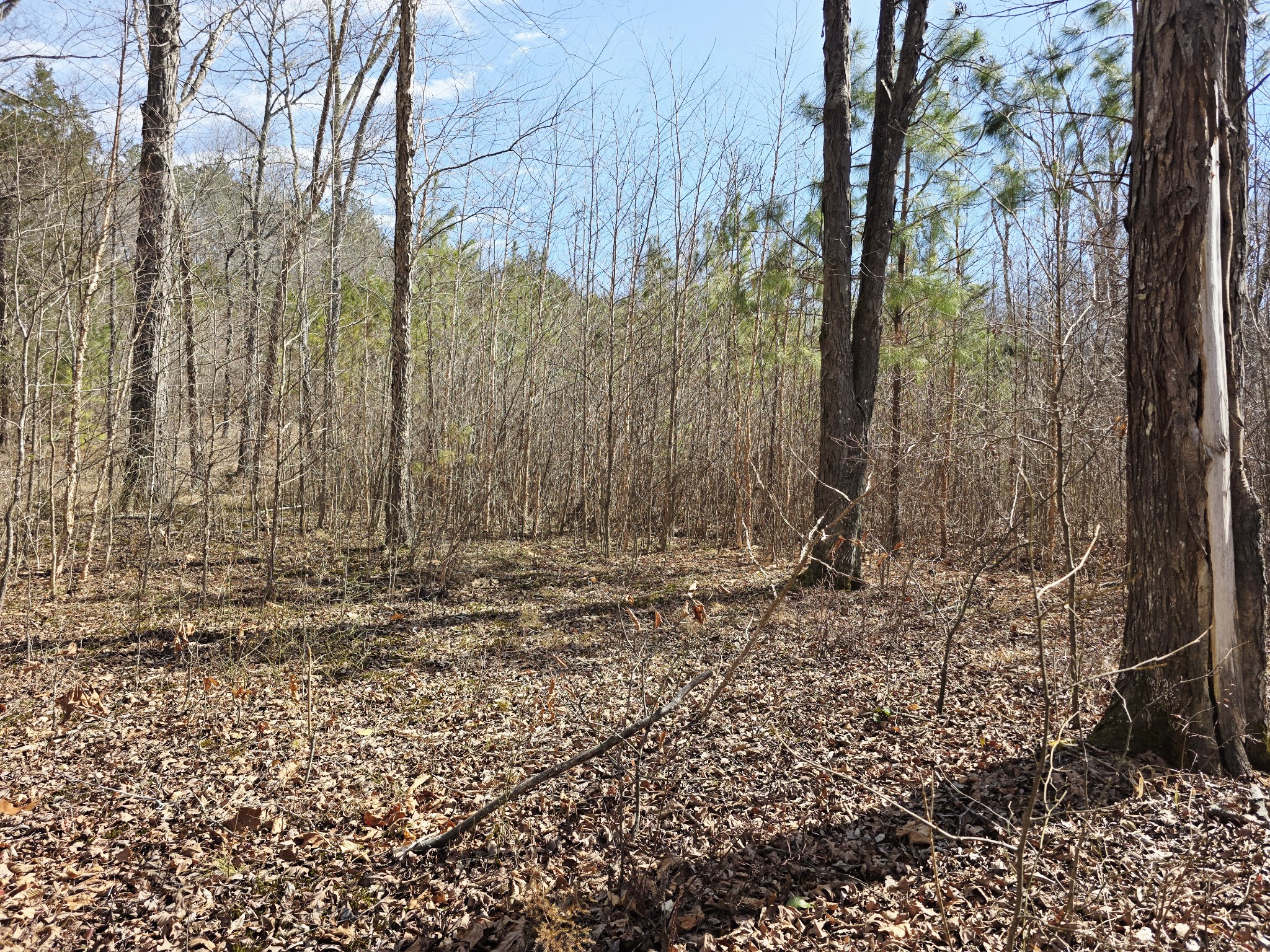 0 Birdsong Road Holladay, TN 38341 - Photo 37 of 70