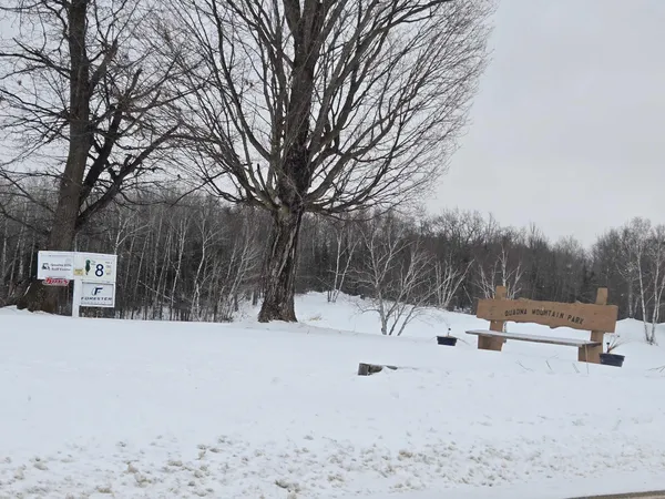 $134,900 | 323 Quadna Mountain Rd Hill, Hill City, MN 55748