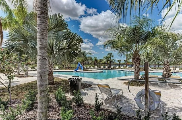 a view of a lake with palm trees