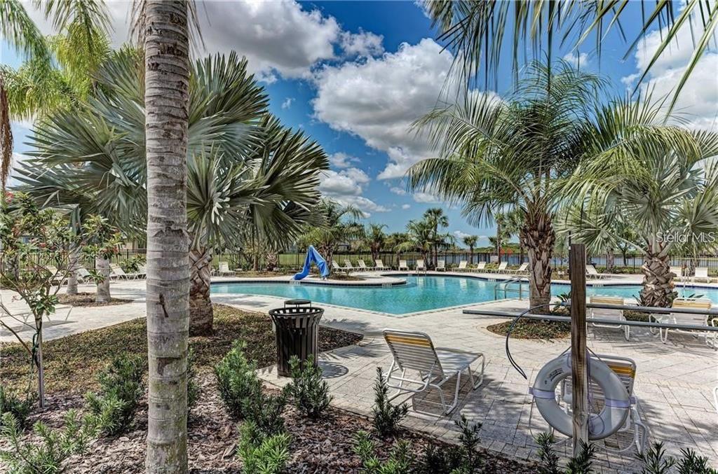 10267 Newminster Loop Ruskin, FL 33573 - Photo 37 of 38 a view of a lake with palm trees