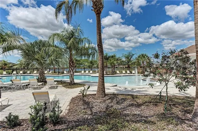 a view of a yard with plants and trees