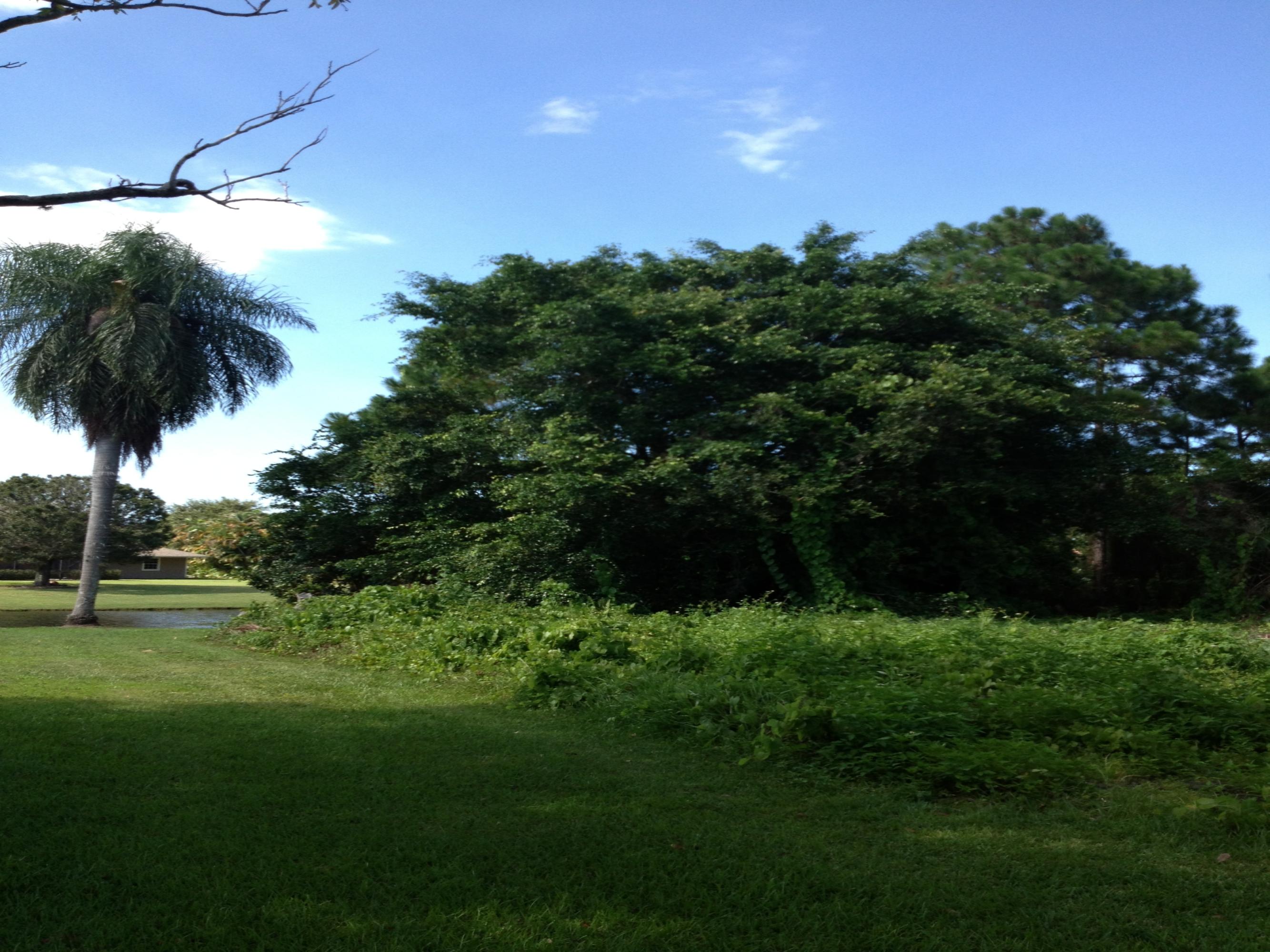 0 Southwest Victoria Court Stuart, FL 34997 - Photo 6 of 6 One Acre on a fish-filled lake!