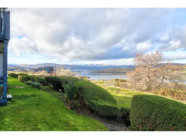 a view of a field with an ocean