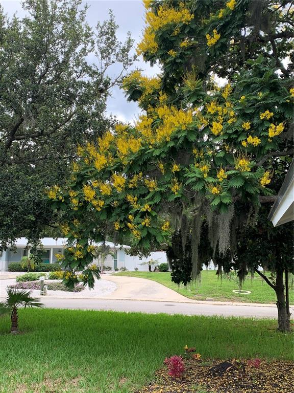 6370 Conniewood Square New Port Richey, FL 34653 - Photo 22 of 27 a view of a yard