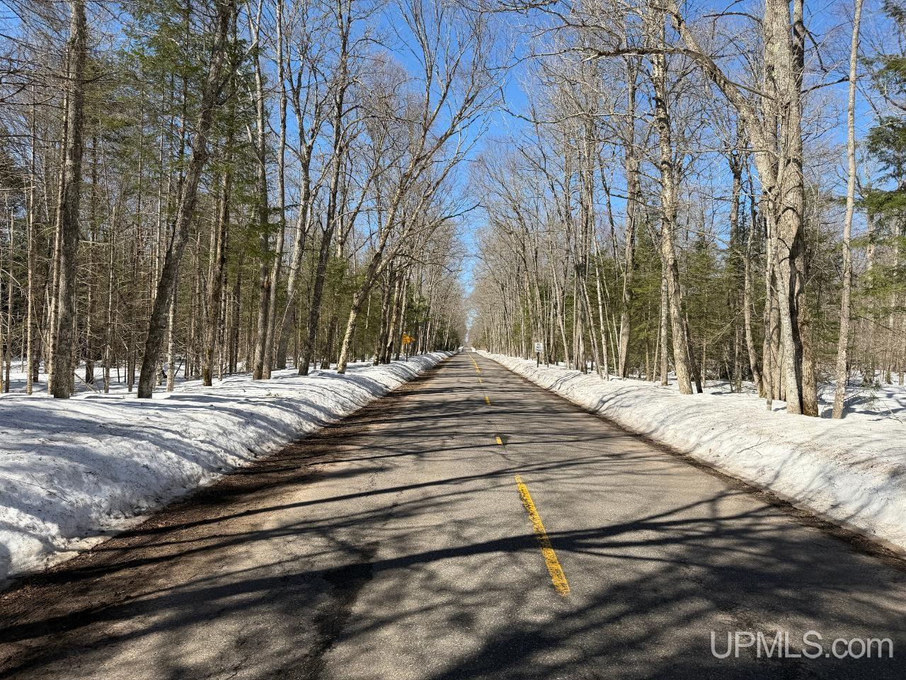 40-acres Dukes Road Skandia, MI 49885 - Photo 22 of 24