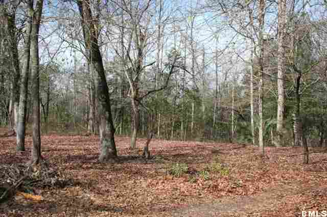 Tbd Keans Neck Road Seabrook, SC 29940 - Photo 1 of 1 Primary Photo