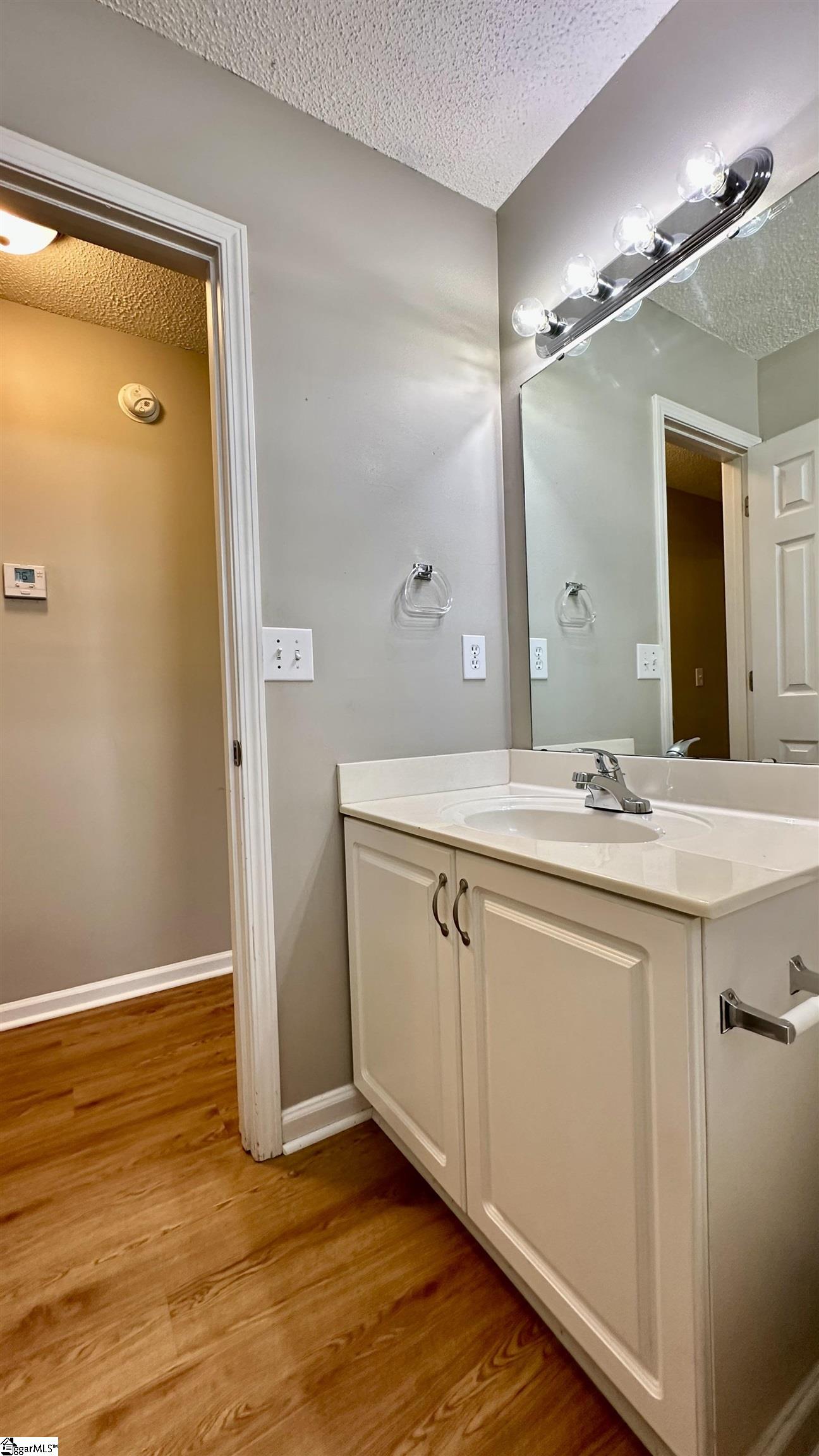 339 Riverside Chase Circle Greer, SC 29650 - Photo 25 of 35 Gallery Image 25